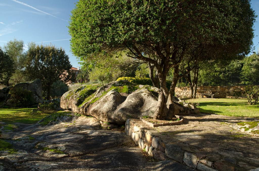 B&B Li Conchi Arzachena Exterior foto